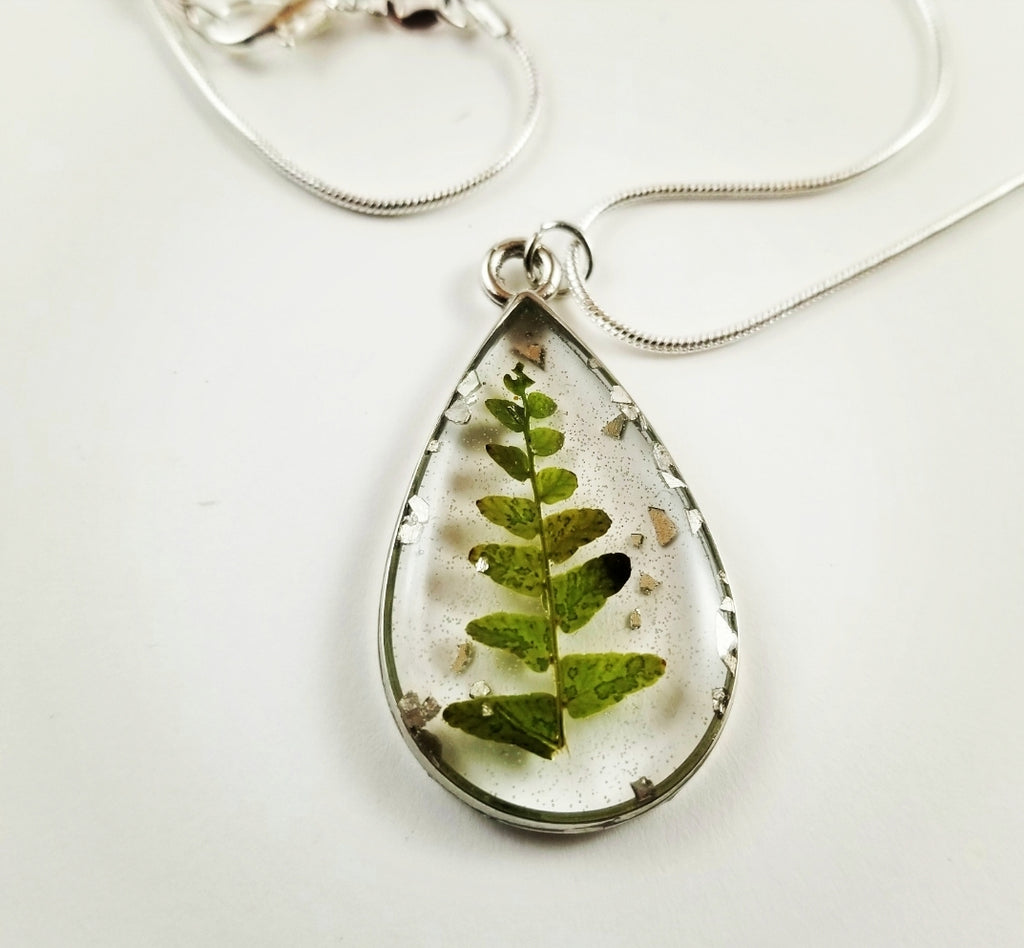 Silver teardrop fern